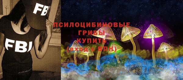 герыч Верхний Тагил