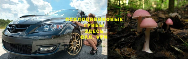 гидропоника Верхнеуральск