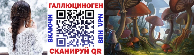 Псилоцибиновые грибы мухоморы закладки Дедовск